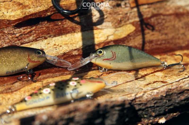 woblery kleń hand made